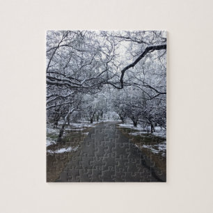 Arizona Snö Scene Puzzle - Medium 110 Delarare Pussel