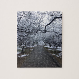 Arizona Snö Scene Puzzle - Medium 110 Delarare Pussel