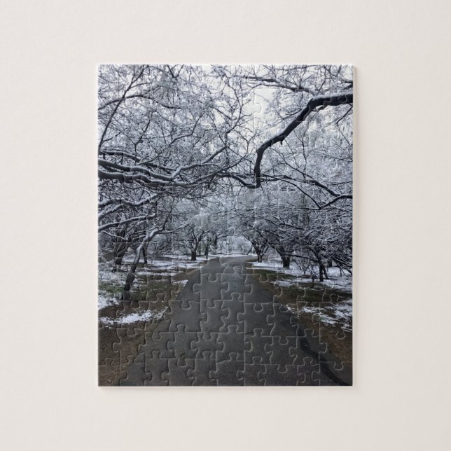 Arizona Snö Scene Puzzle - Medium 110 Delarare Pussel (Vertikal)