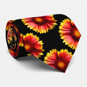 Arizona Sol Blanketblommor Slips