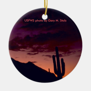 Arizona/solnedgång i den Sabino kanjonen Julgransprydnad Keramik
