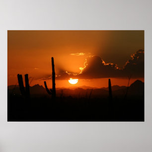 Arizona solnedgång poster