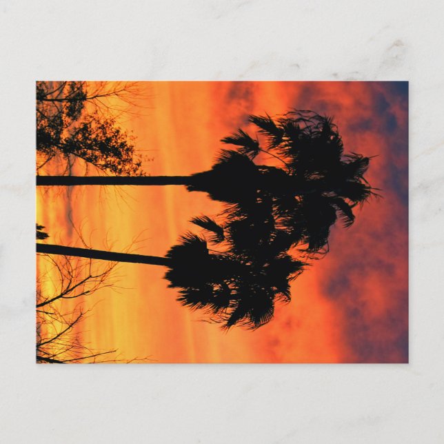 Arizona solnedgång vykort (Framsida)