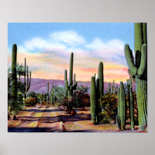 Arizona Sonoran Desert Scene Poster (Framsidan)
