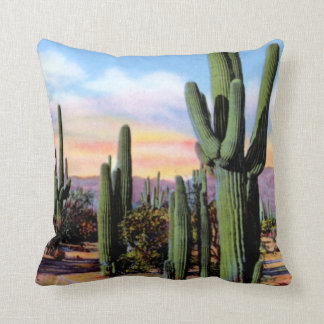 Arizona Sonoran ökenplats Kudde