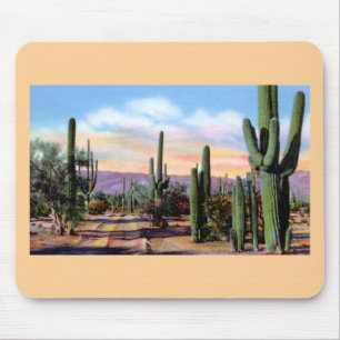 Arizona Sonoran ökenplats Musmatta