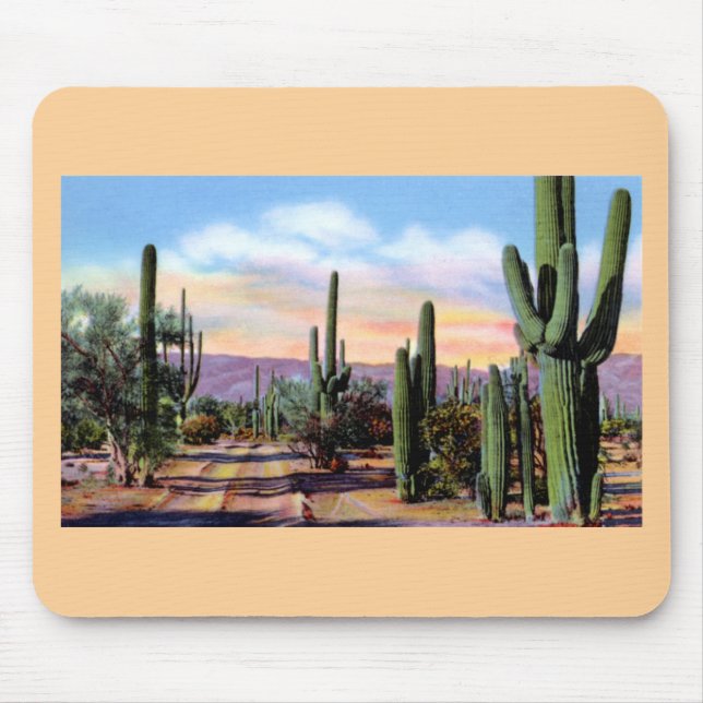 Arizona Sonoran ökenplats Musmatta (Framsidan)