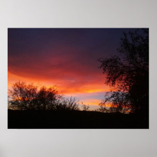 Arizona Sonoran ökensolnedgång 21 x 15 Poster