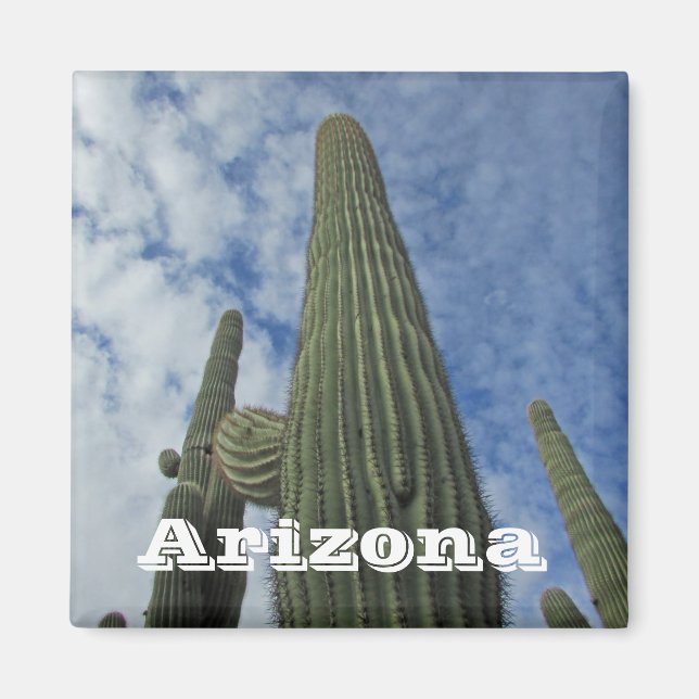 Arizona Southwest Cacti Blå himmel Saguaro Cactus Magnet (Framsidan)