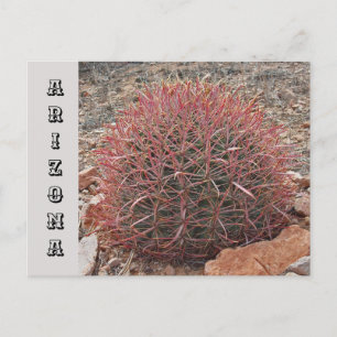 Arizona Southwest State Travel Red Barrel Cactus Vykort