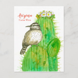 Arizona State Bird Cactus Wren White Blommar Vykort