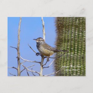 Arizona State Bird Vykort