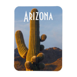 Arizona Sunlit Saguaro Magnet