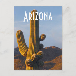 Arizona Sunlit Saguaro Vykort