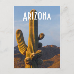 Arizona Sunlit Saguaro Vykort