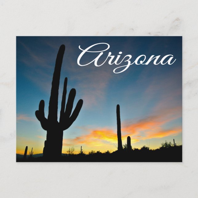Arizona Sunrise Cactus & Desert Travel Postcard Vykort (Framsida)