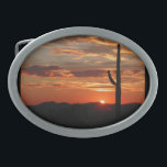 Arizona Sunset<br><div class="desc">Arizona solnedgångsbild</div>