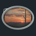 Arizona Sunset<br><div class="desc">Arizona solnedgångsbild</div>