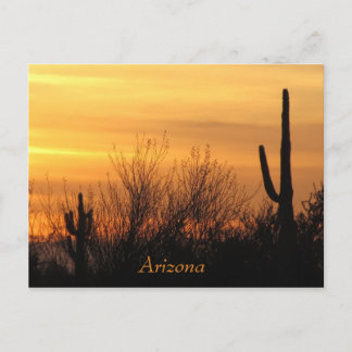 Arizona Sunset-3 Vykort