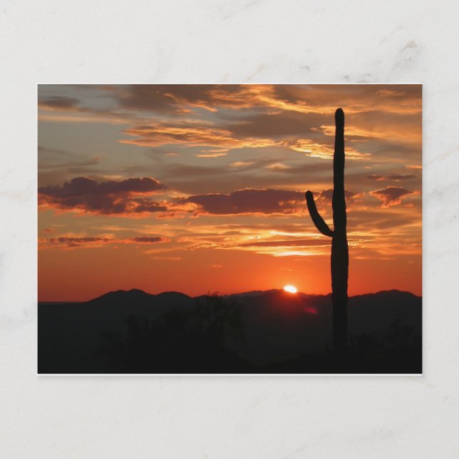 Arizona Sunset—Breathtake Vykort (Framsida)