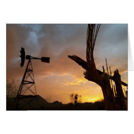 Arizona Sunset Kvarn Saguaro Cactus Skeleton Hälsningskort