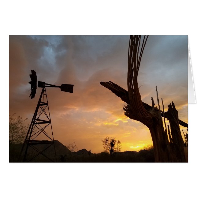 Arizona Sunset Kvarn Saguaro Cactus Skeleton Hälsningskort (Framsidan Horizontal)