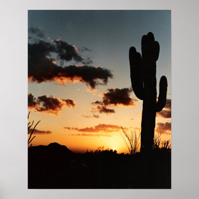 Arizona Sunset Poster (Framsidan)