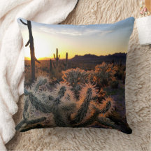 Arizona Sunset Sonoran Desert with Saguaro Cactus