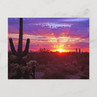 arizona sunset vykort