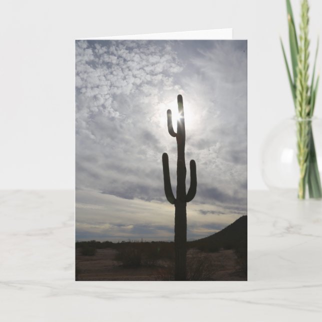 Arizona Välkomstkort Saguaro Solnedgång Kort (Framsida)