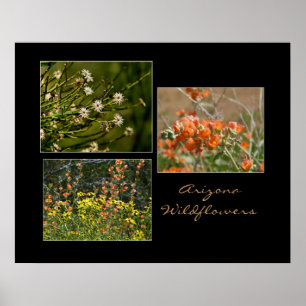 Arizona vilda blommor tryck