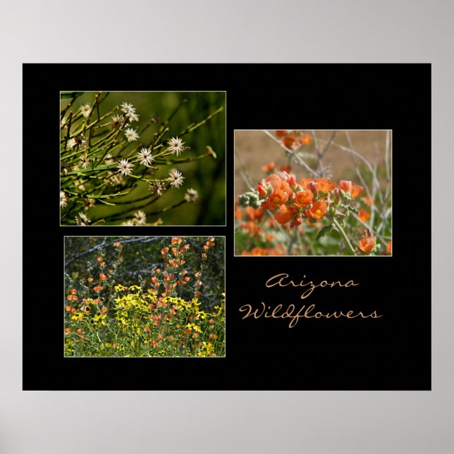 Arizona vilda blommor tryck (Framsidan)