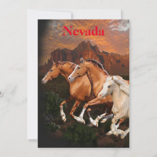 Arizona vilda hästar julkort