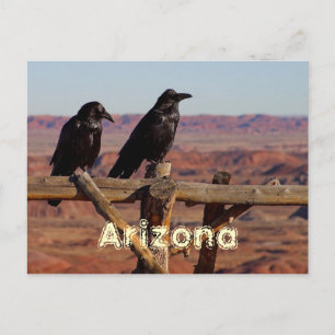 Arizona Vykort