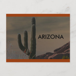 ARIZONA VYKORT