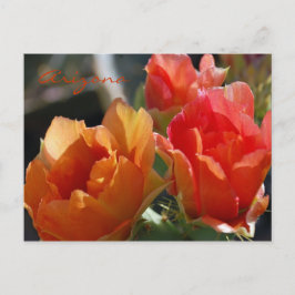 Arizona vykort