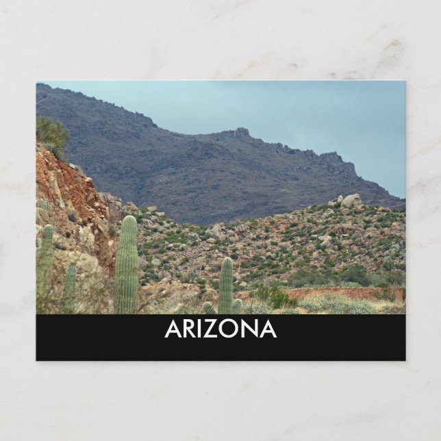 ARIZONA VYKORT (Framsida)