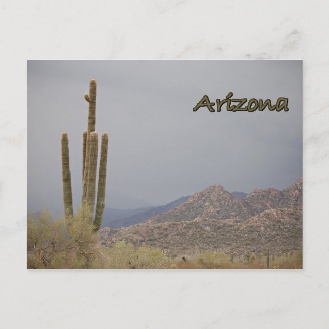 Arizona vykort (Framsida)
