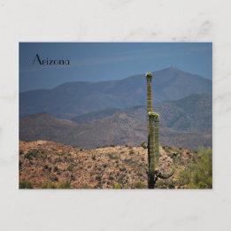 Arizona vykort