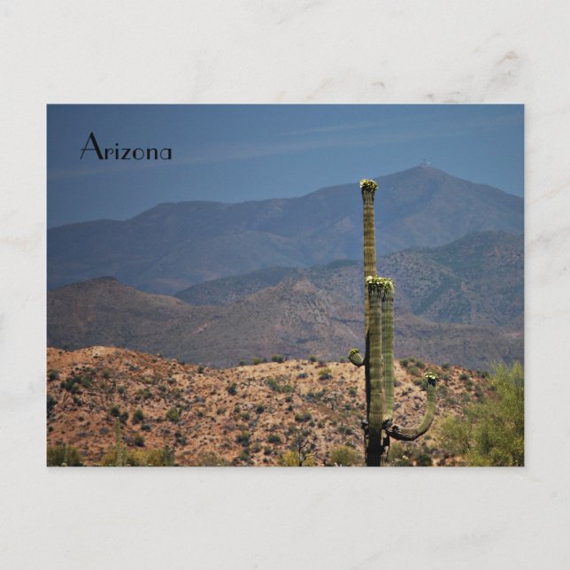 Arizona vykort (Framsida)