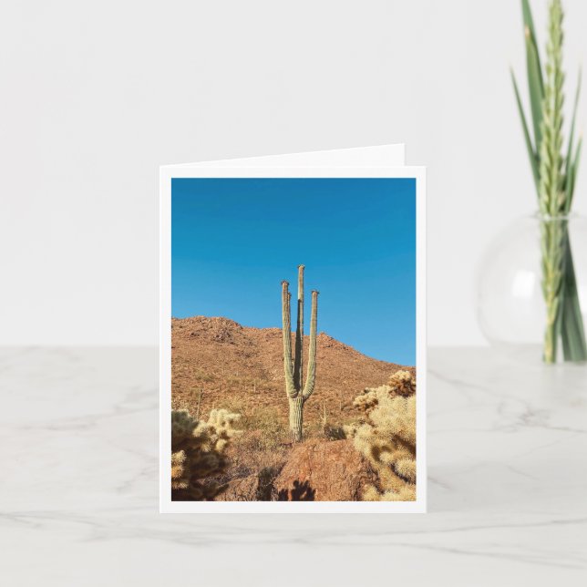 Arizona vykort 1 (Framsida)