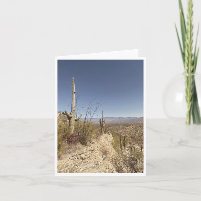 Arizona vykort 3 (Framsida)