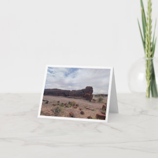 Arizona vykort 6