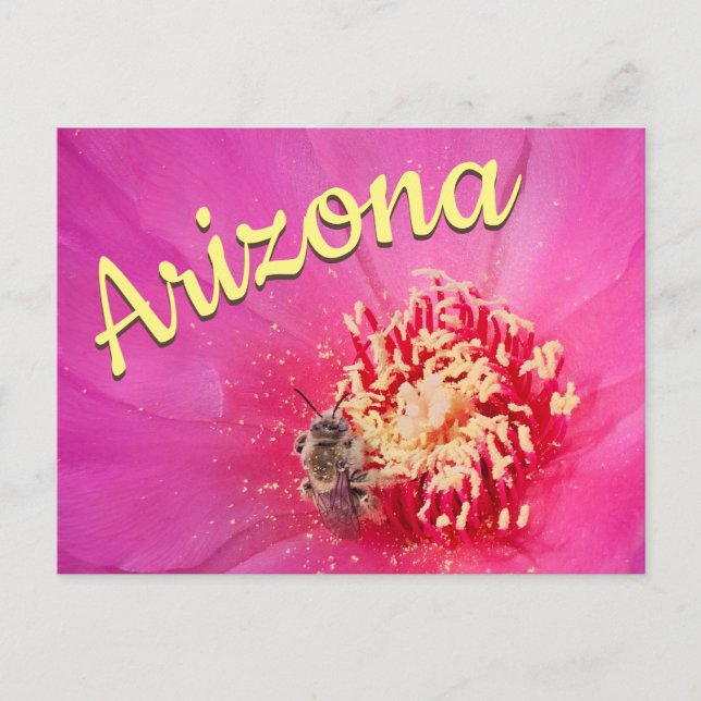 Arizona vykort, Prickly Pear Blomma Bee Vykort (Framsida)