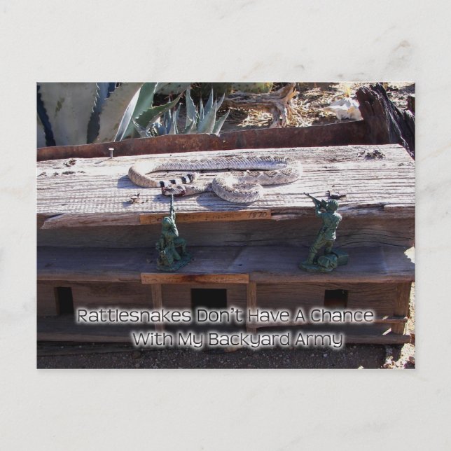 Arizona Western Diamondback Rattlesnake Vykort (Framsida)