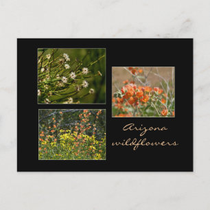 Arizona Wildblomma vycard Vykort