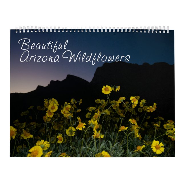 Arizona Wildblommor stor två sidor lång kalender (Omslag)