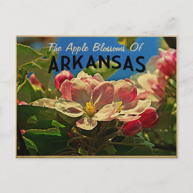 Arkansas Apple Blommars Vykort (Framsida)