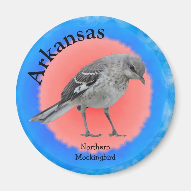 Arkansas Magnet (Framsidan)