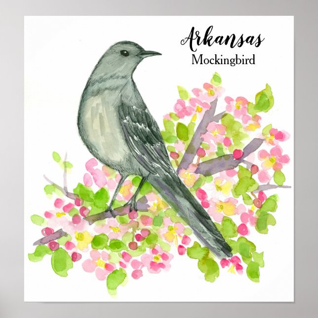 Arkansas Mockingbird Flowers Poster (Framsidan)